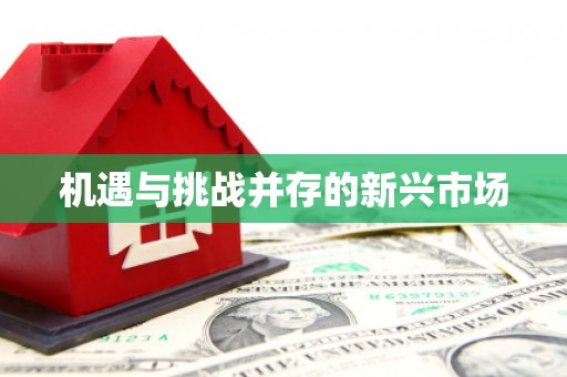 凤林机遇与挑战并存的新兴市场