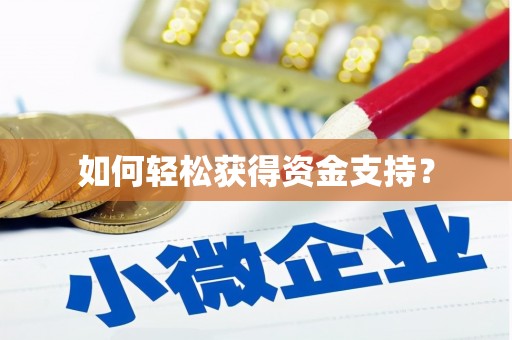 凤林如何轻松获得资金支持？