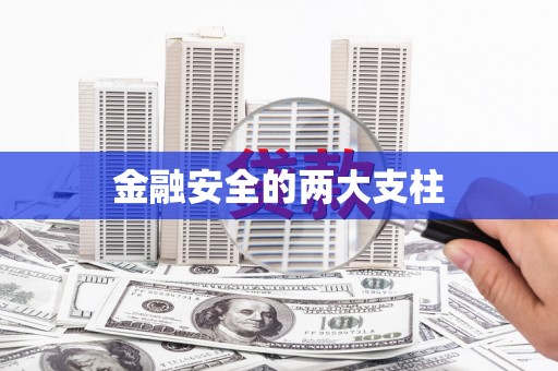 凤林金融安全的两大支柱