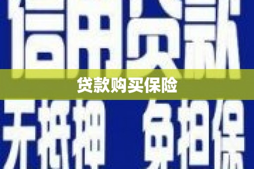 凤林贷款购买保险