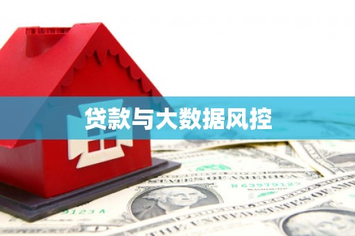 凤林贷款与大数据风控