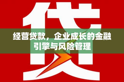 凤林经营贷款，企业成长的金融引擎与风险管理