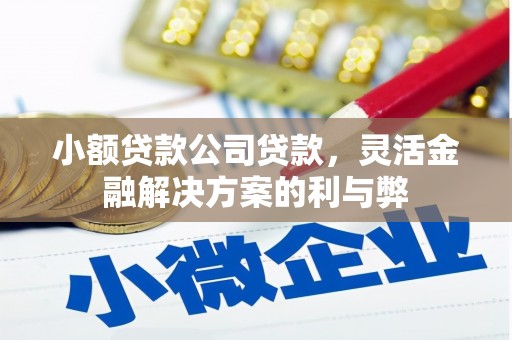 凤林小额贷款公司贷款，灵活金融解决方案的利与弊