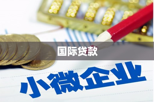 凤林国际贷款